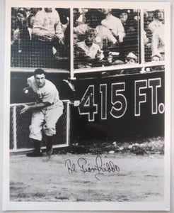 Al Gionfriddo signed baseball photo 10x8